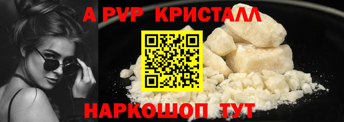 APVP СК Новосибирск