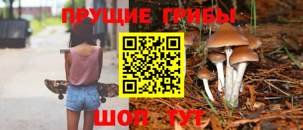 Псилоцибиновые грибы ЛСД Новосибирск