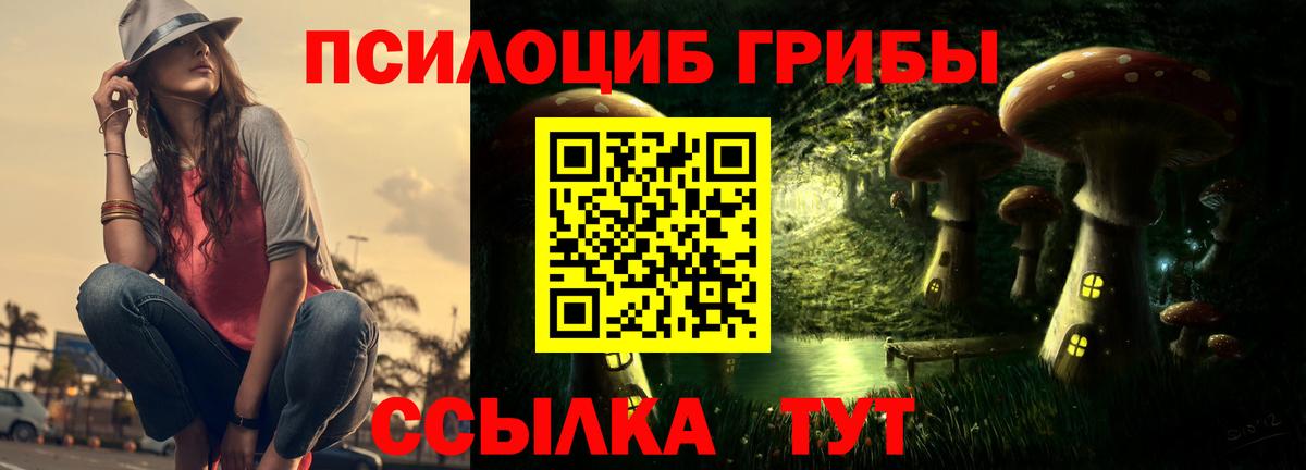 Новосибирск  Галлюциногенные грибы Psilocybine cubensis  Псилоцибиновые грибы Magic Shrooms  Вход с VPN 
